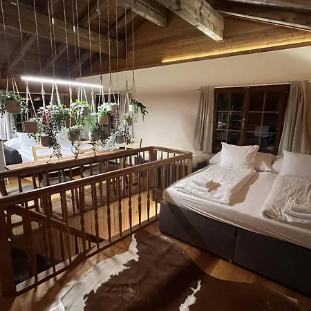 Mountain Homes - Outpost * Bönigen