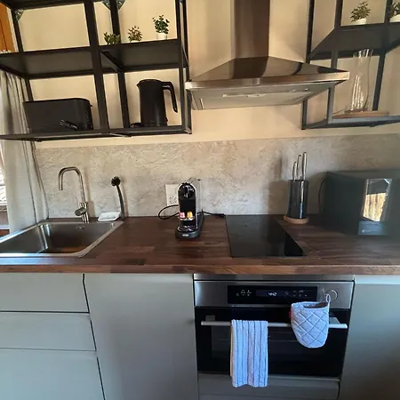 度假居 Mountain Homes - Outpost Bönigen